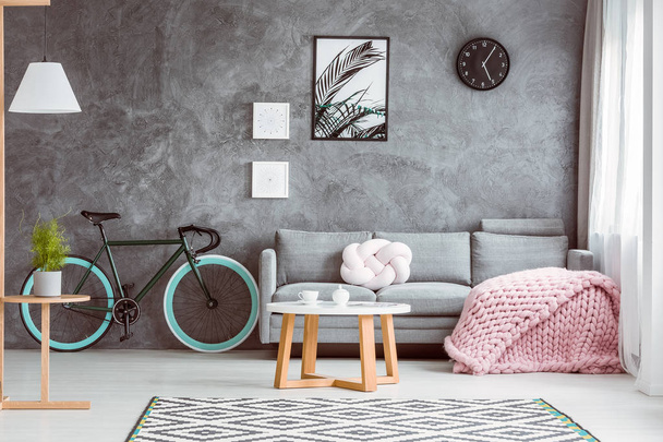 Pink blanket in cozy living room - Фото, изображение