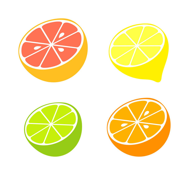 柑橘系の果物のコレクション - ベクター画像