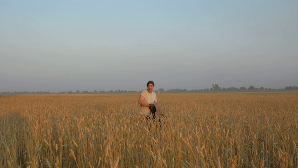Běžící kamerou dospělých veselý muž v pšeničné pole - Záběry, video