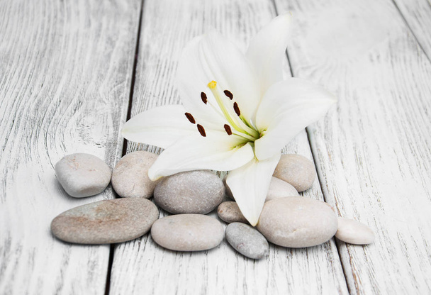 Valkoinen lilja ja hieronta kiviä
 - Valokuva, kuva