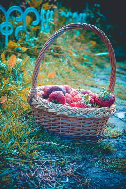 Erdbeere im Korb auf Gras retro - Foto, Bild
