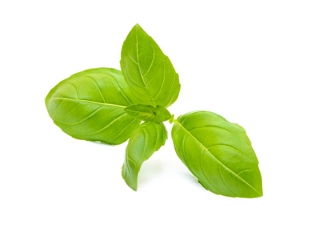 Aromatic leaves of basil - Foto, Bild
