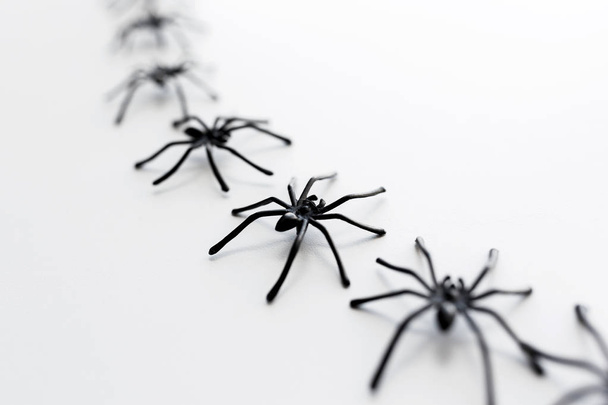 black toy spiders chain over white background - Фото, изображение