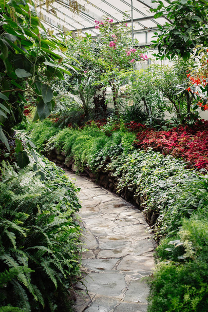Stone path in botanical garden  - Photo, Image