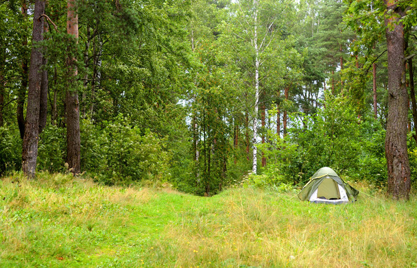 Camping tent in summer forest. - Фото, изображение