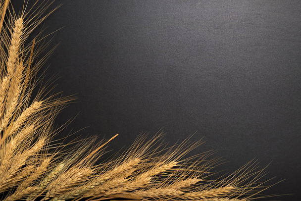Wheat ears on black background - Photo, Image