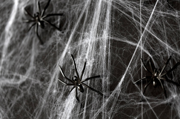 halloween decoration of black toy spiders on web - Foto, Imagem