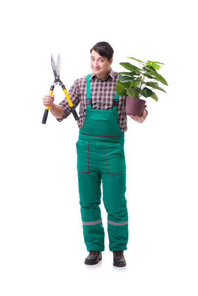 Young man gardener isolated on white - Photo, Image