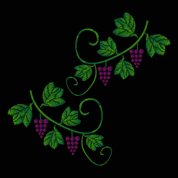 A szőlő a fürtöket szőlő. Hímzés farmert. Hímzés sima. A fekete háttér vektor illusztráció. - Vektor, kép