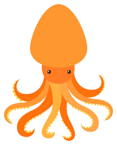 Orange octopus on white background - Vecteur, image