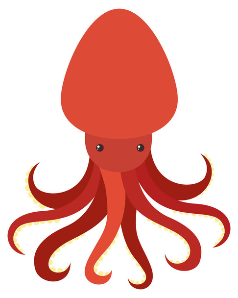 Red octopus on white background - Vecteur, image