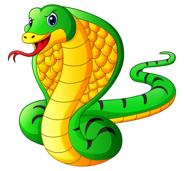 Κόμπρα φίδι κινουμένων σχεδίων - Διάνυσμα, εικόνα