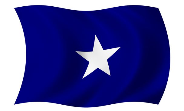 Bonnie Bandera azul
 - Foto, Imagen