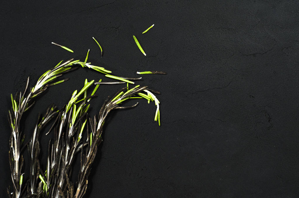 Fresh rosemary herbs isolated on black background. Culinary healthy aromatic herbs - Fotó, kép