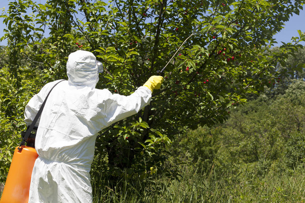 Pesticide spraying. Agricultural pollution. - Foto, Imagen