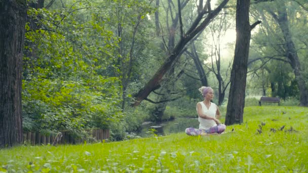 Frau macht Yoga-Übungen in Flussnähe - Filmmaterial, Video