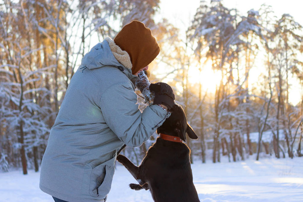 Man walks with dog on winter day - Photo, image