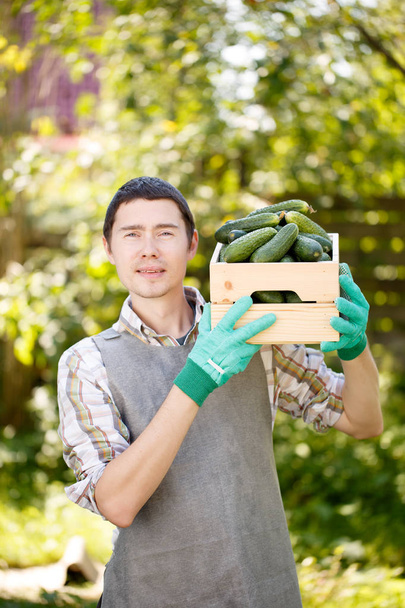 Brunet with box of cucumbers - Фото, зображення