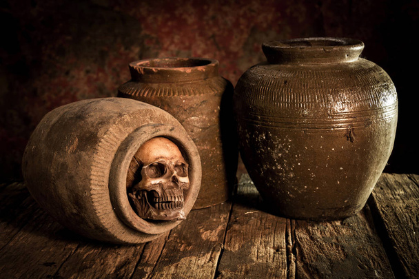 Still Life with a Skull and clay pot,earthenware - Photo, Image