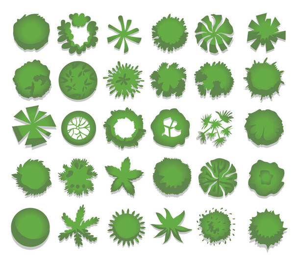 Set of different green trees, shrubs, hedges. Top view for landscape design projects. Vector illustration, isolated on white. - Wektor, obraz