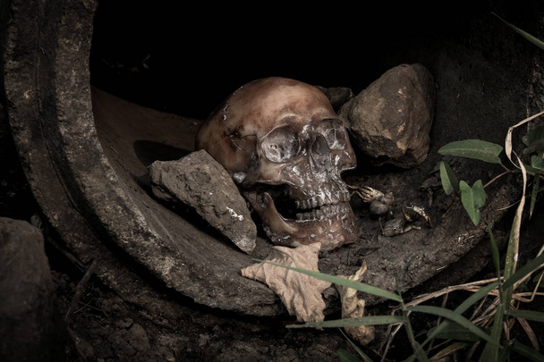 パイプラインでの人間の頭蓋骨のある静物 - 写真・画像