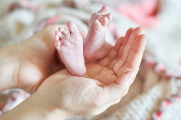 Mother holding newborn baby's feet in her hands - Fotó, kép