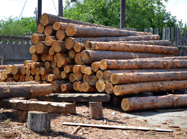 製材所。ボード木材梁の鋸の松のログ倉庫木材スタック - 写真・画像