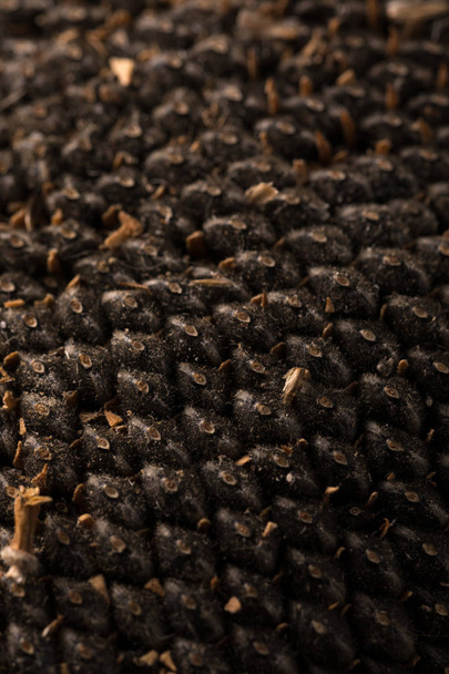 Texture of sunflower seeds. Black sunflower seeds, organic background. - Φωτογραφία, εικόνα