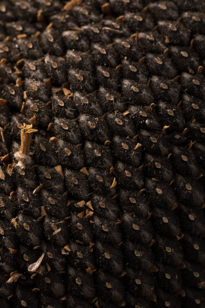 Texture of sunflower seeds. Black sunflower seeds, organic background. - Fotó, kép