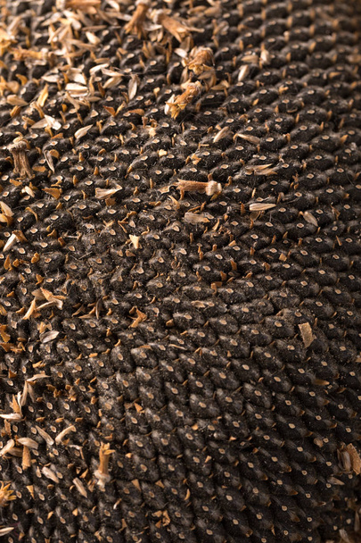 Texture of sunflower seeds. Black sunflower seeds, organic background. - Foto, Bild