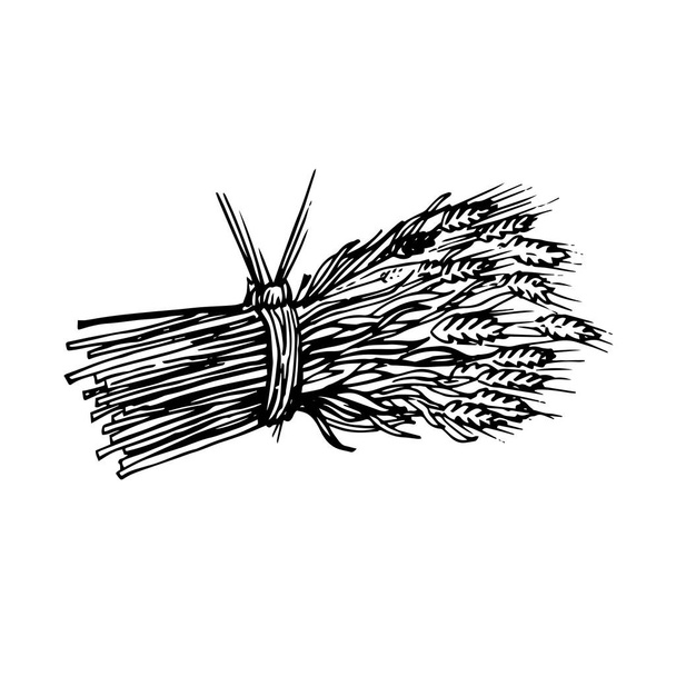  окрашенные пучок сена и шипы изолированы на белом фоне
 - Вектор,изображение