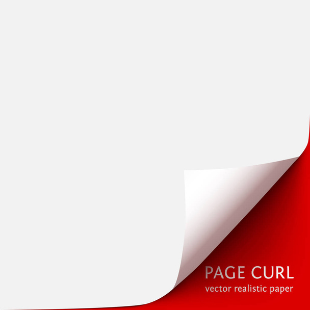 Curled corner of paper with shadow on red background - Vector, Image