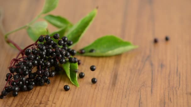 μαύρο elderberry πέφτουν στο τραπέζι - Πλάνα, βίντεο