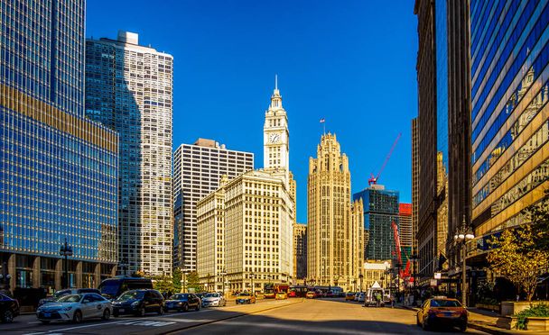 Downtown Chicago w lecie - Zdjęcie, obraz