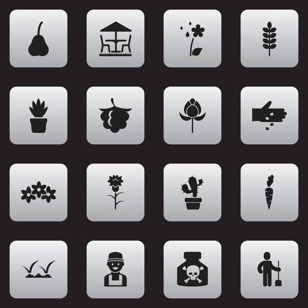 Satz von 16 editierbaren Pflanzsymbolen. beinhaltet Symbole wie Saatgut, Bewässerung, Brombeere und mehr. kann für Web-, Mobil-, UI- und Infografik-Design verwendet werden. - Vektor, Bild