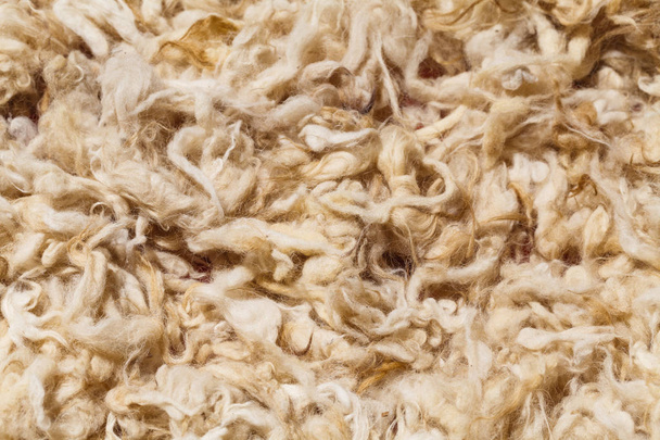 Raw wool of sheep of beautiful Caucasian mountains in the lesser Caucasus region - Photo, image