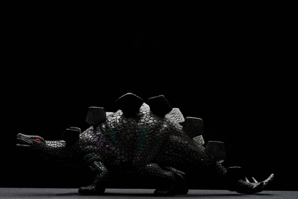 po stronie widoku czarny Stegozaur zabawka na ciemnym tle - Zdjęcie, obraz