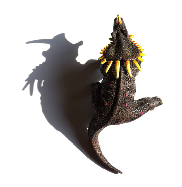 ylhäältä näkymä harmaa triceratops lelu varjo valkoisella taustalla
 - Valokuva, kuva