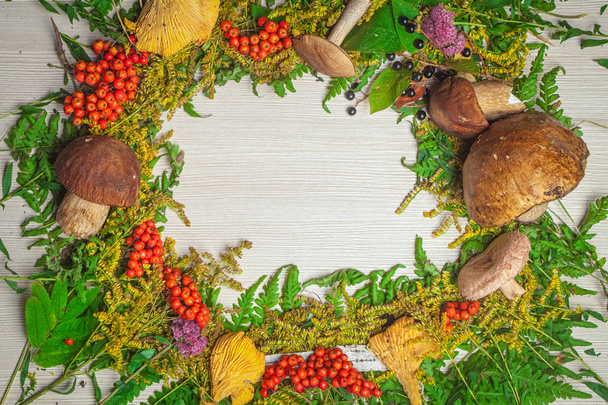 Herbst Stillleben der Pilze - Foto, Bild