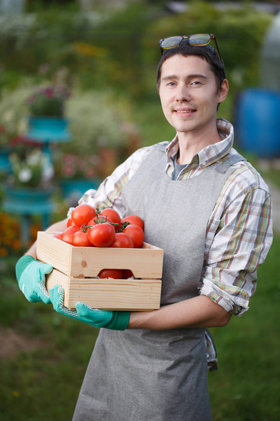Image of farmer with tomato - Фото, зображення