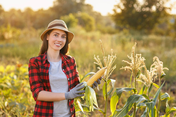 happy woman gardener with corn cob - Zdjęcie, obraz