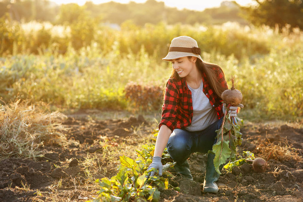 woman gardener with beet - Foto, Imagen