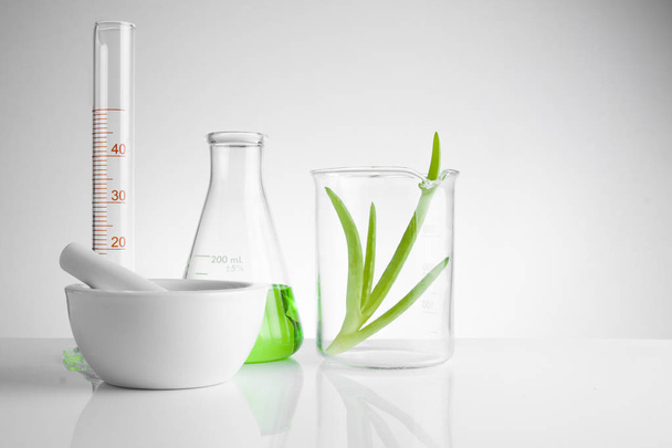 herbal medicine natural organic and scientific glassware - 写真・画像