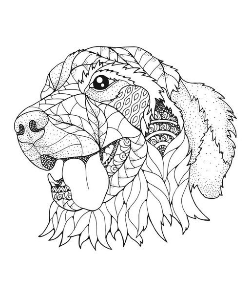 Golden retriever dog in zentangle and stipple style. Vector illustration. Anti stress coloring book for adults and kids. - Vector, Image