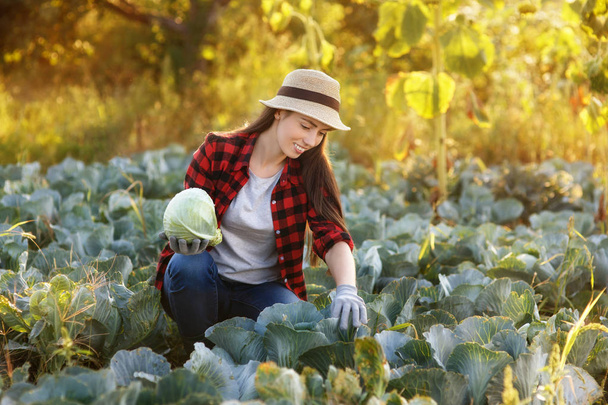 Happy woman gardener with cabbage - Foto, immagini