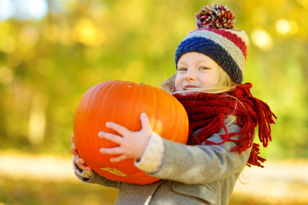 little girl having fun with pumpkin - Фото, зображення