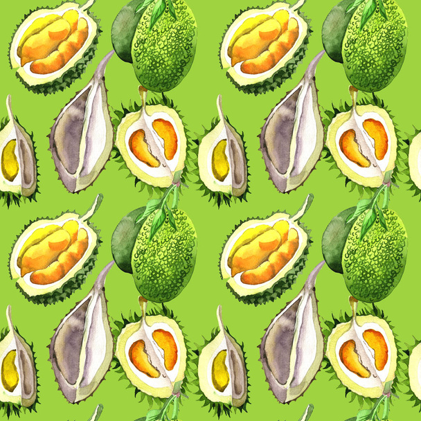 Egzotyczne durian owoców dzikiej wzór w stylu przypominającym akwarele. - Zdjęcie, obraz