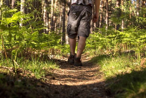 Man of adventure in the forest on a sunny spring day - Photo, Image