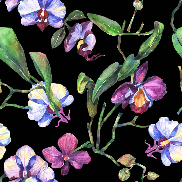 Wildflower orchid flower pattern in a watercolor style. - Photo, Image