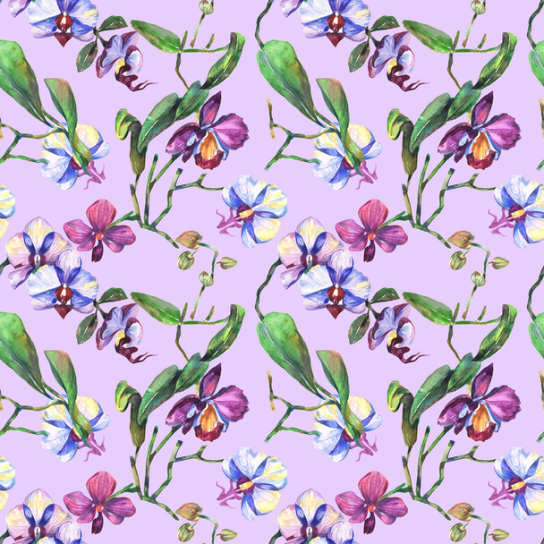 Wildflower orchid flower pattern in a watercolor style. - Fotoğraf, Görsel